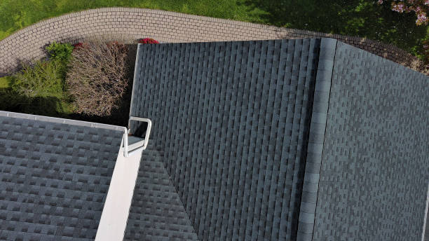 Best Roof Coating and Sealing  in USA